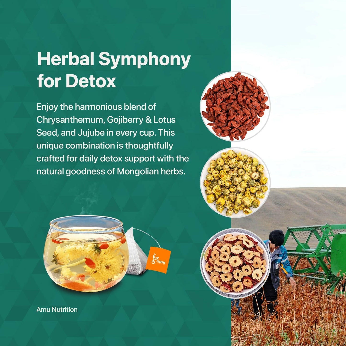 Daily Detox Tea – Gentle liver support for modern diets with Chrysanthemum, Goji Berry and Jujube- 10 Sugarcane tbgs